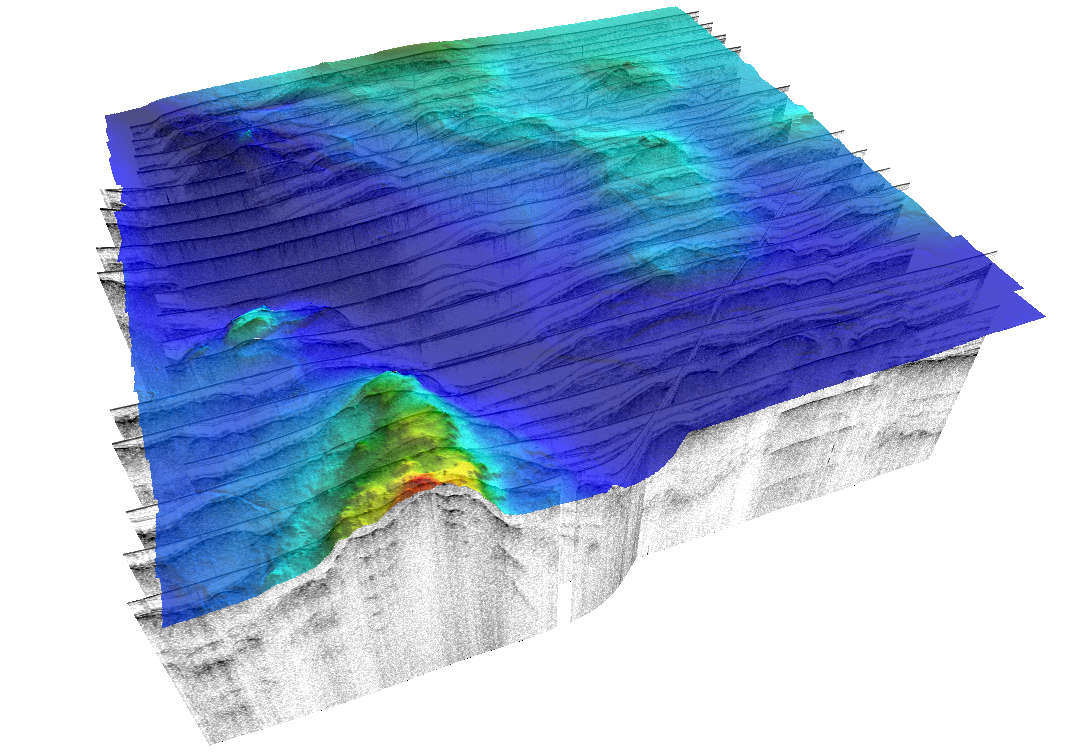 Meridata MDPS/3DViewer showing bathymetry surface on top of sub-bottom profiles